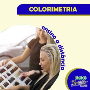 Curso de Colorimetria Online para Cabeleireiros – Escola Padrão
