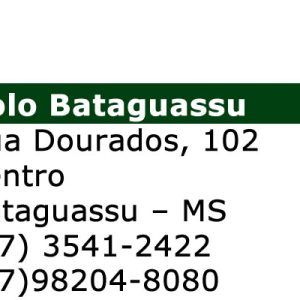 EJA (EaD) – Polo Bataguassu