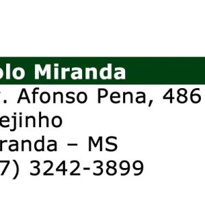 EJA (EaD) – Polo Miranda